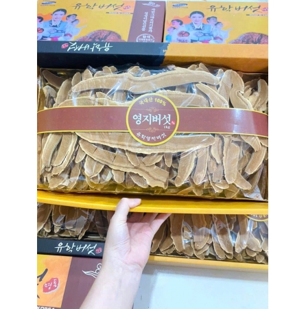 NẤM LINH CHI THÁI LÁT HIỆU CÔ GÁI - HÀN QUỐC